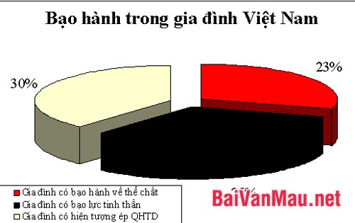 Tỷ lệ bạo lực gia đình ở Việt Nam