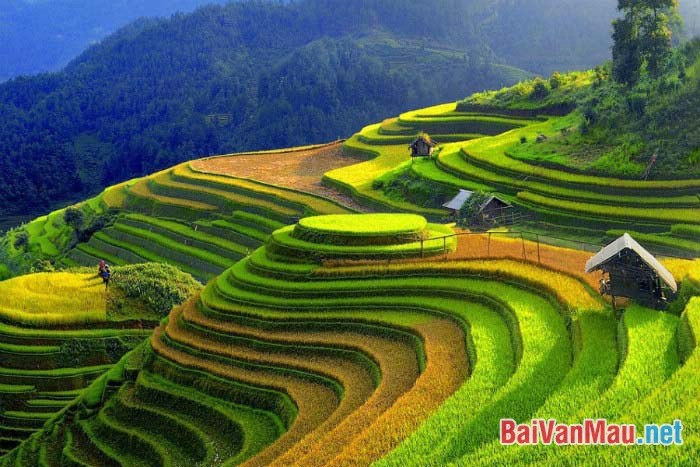 Hình tượng thiên nhiên và con người Việt Bắc: Hình ảnh tuyệt đẹp này sẽ khiến bạn cảm thấy như lạc vào một vùng đất thần tiên, nơi mà thiên nhiên và con người gắn kết một cách hoàn hảo. Bạn sẽ bị ám ảnh bởi những bức hình về sự đan xen giữa những cánh đồng thơm ngát và những ngôi làng yên bình.