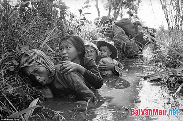 Hình ảnh người phụ nữ Việt Nam