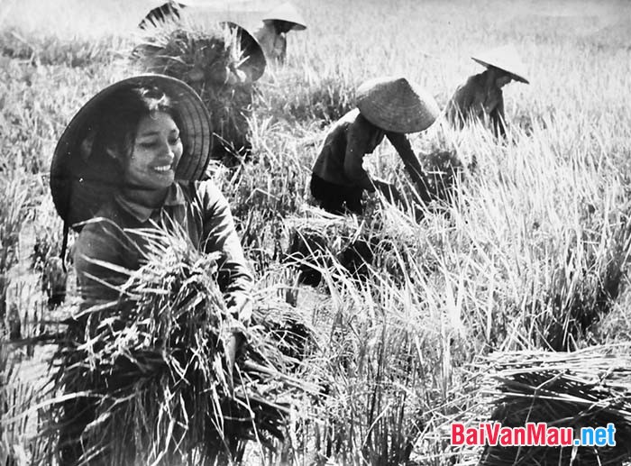 Hình ảnh ngưòi phụ nữ Việt Nam xưa 