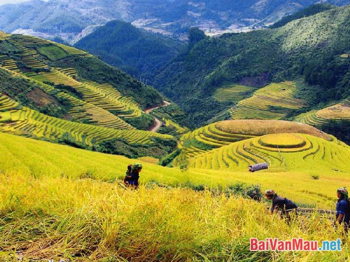 Bốn mùa tươi đẹp và thơ mộng của núi rùng Việt Bắc