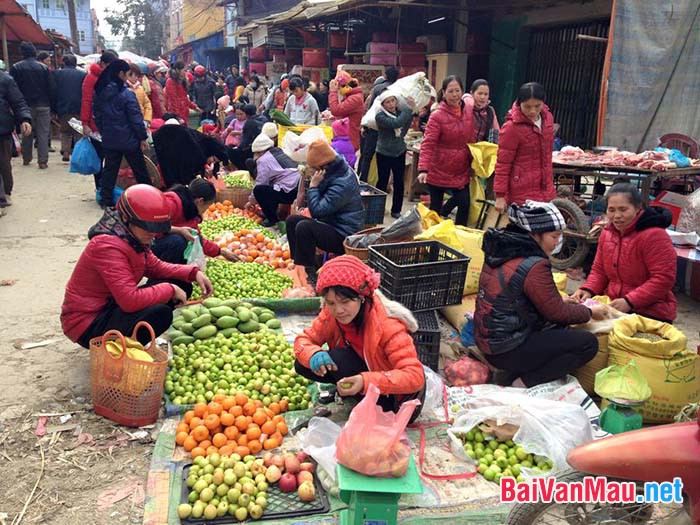 Ngữ văn 9: Thuyết minh về một phiên chợ quê Việt Nam