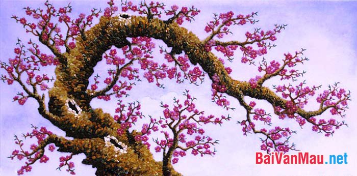 Thuyết minh về một loài cây (hoa) trên đất nước Việt Nam chú ý sử dụng biện pháp nghệ thuật (yếu tố tự sự, biểu cảm, miêu tả) (thuyết minh về cây đào)