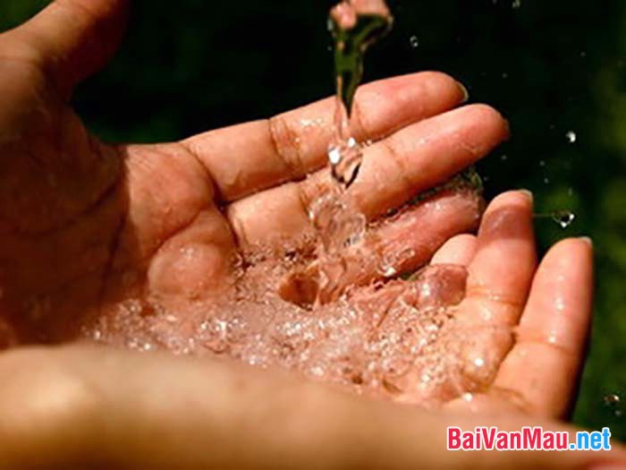 Nghị luận vấn đề: Nước có vai trò vô cùng quan trọng đối với con người cũng như bất cứ sinh vật nào trên trái đất