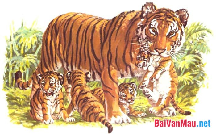 Dựa vào văn bản Nhớ rừng của Thế Lữ, hãy kể lại câu chuyện về con hổ ở vườn bách thú